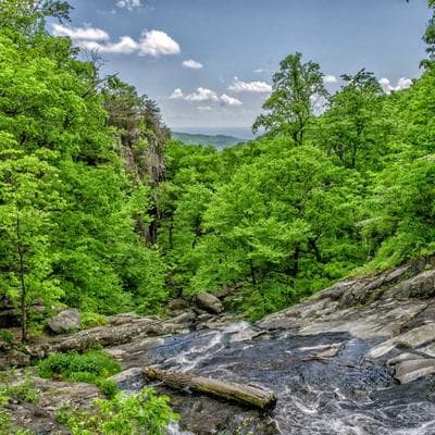 Flash Deal Product 8