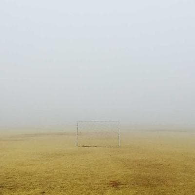 Dyson V15 Detect Absolute Vacuum